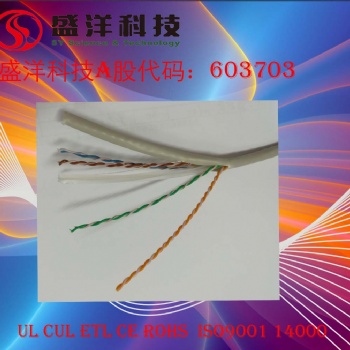盛洋科技供應(yīng)高品質(zhì)六類(lèi)網(wǎng)絡(luò)線(xiàn)