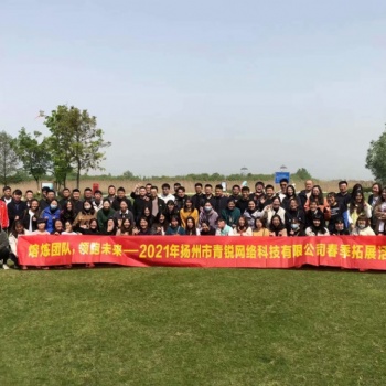 揚州做網站建設計公司，揚州百度開戶運營服務SEM優化
