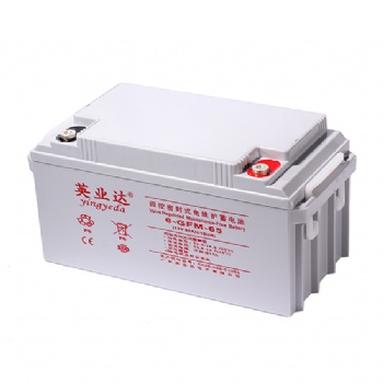 英業(yè)達(dá)蓄電池6-GFM-100免維護(hù)廠家**12V100AH