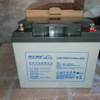 理士12V**H蓄電池鉛酸儲能型DJM1238S免維護(hù)UPS/EPS電源