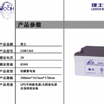 理士DJM1265 12V65 免維護(hù)鉛酸蓄電池 便攜式電源