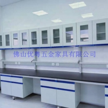 順德實(shí)驗(yàn)臺(tái)不銹鋼實(shí)驗(yàn)室家具定制全鋼通風(fēng)柜全鋼實(shí)驗(yàn)臺(tái)廠家
