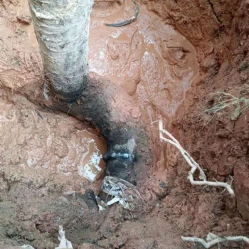 查地下水管漏水公司，管道漏水測(cè)漏公司，管道漏水維修服務(wù)