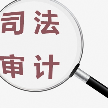 司法審計(jì)的流程和需要的材料