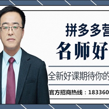長春拼多多店群運(yùn)營教學(xué)，專業(yè)服務(wù)值得**，電商工作室創(chuàng)業(yè)項(xiàng)目