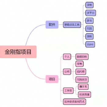 金指拓客助力短視頻運營 快速變現(xiàn)