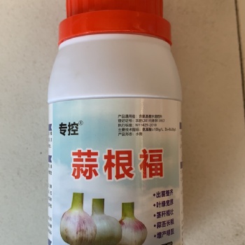 大蒜增產(chǎn)好肥料，蒜根福，用三遍增產(chǎn)明顯看的見