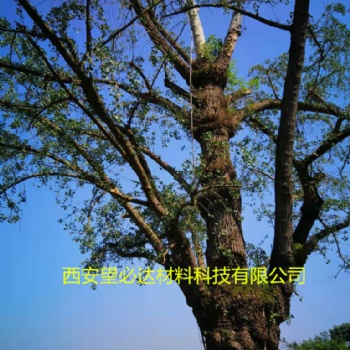 西安望必達(dá)玻璃鋼古樹(shù)專(zhuān)用避雷針5-25m生產(chǎn)定制重量輕強(qiáng)度高抗腐蝕