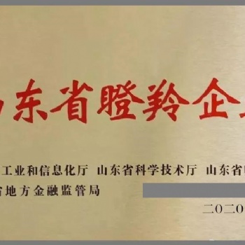 濟(jì)寧申報(bào)瞪羚獨(dú)角獸企業(yè)的具體條件是什么