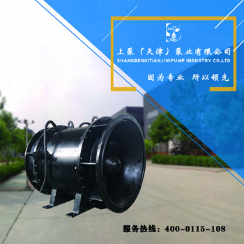 海南800QGWZ-125J大流量雙向排水全貫流潛水電泵生產(chǎn)廠家