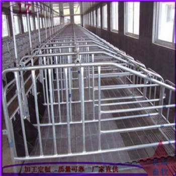 泊頭市良諸畜牧機械設備有限公司養(yǎng)豬設備限位欄