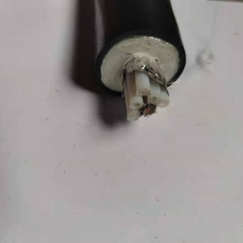 安徽昌普 ** 河北伴熱管φ6φ8 脫硫脫硝 在線監(jiān)測取樣管CEMS一體化采樣管 防爆電熱設(shè)備