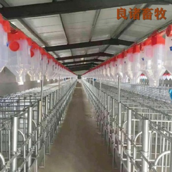 加工定制 育肥豬舍喂料設(shè)備 自動化料線 養(yǎng)豬自動料線 上料養(yǎng)豬料線