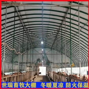 新型養(yǎng)牛大棚搭建 養(yǎng)牛場牛棚施工建造 抗風雪牛棚建設