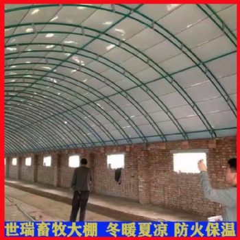生產(chǎn)安裝養(yǎng)雞大棚 蛋雞養(yǎng)殖大棚建設 雞舍大棚搭建廠家