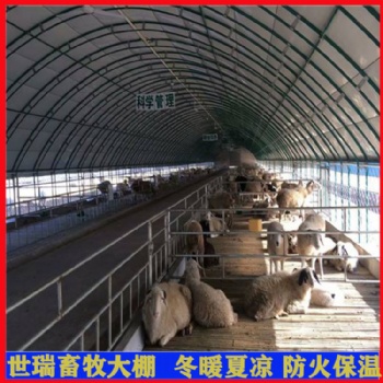 建設養(yǎng)羊大棚 育肥羊養(yǎng)殖大棚施工 養(yǎng)羊棚搭建包工包料