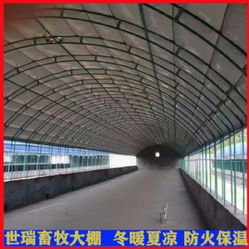 安裝養(yǎng)兔大棚 肉兔棚建設 養(yǎng)驢大棚施工搭建 驢舍大棚建造