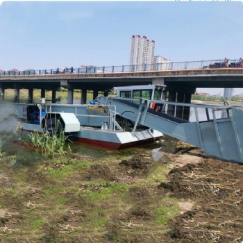 滸苔清理藍(lán)藻打撈機(jī)械廠家 魚塘蟹塘景區(qū)庫區(qū)水面垃圾打撈清理機(jī)械