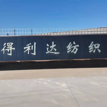 環(huán)錠紡保印染，漂白的大化滌綸紗