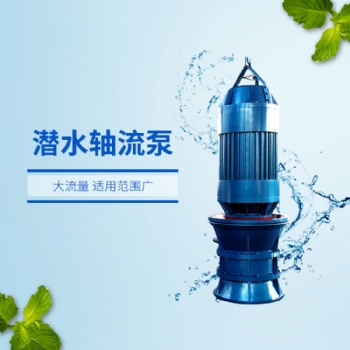 防汛泵站用1000QZB-630KW潛水軸流泵天昊泵業