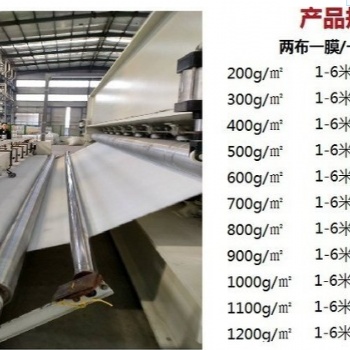 甘肅蓄水池兩布一膜使用規格，西寧垃圾填埋場防滲土工膜、長絲土工布生產廠家
