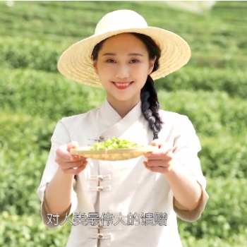 高端服務(wù)，溫馨呵護(hù)——茶益康