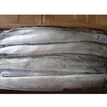 天津進口帶魚需要的報關資料
