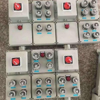 防爆動(dòng)力電磁起動(dòng)配電箱