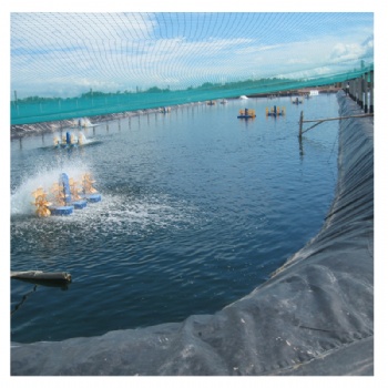 供應(yīng)安陽(yáng)渠道灌溉防水防滲膜 蓄水池防滲土工膜