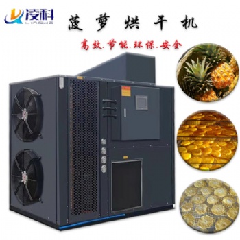 菠蘿烘干機家用干燥設備節(jié)能