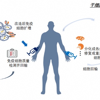 細胞治療質量控制解決方案