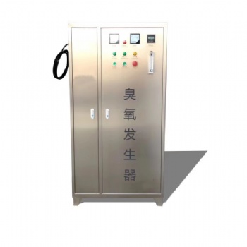 山東壁掛式臭氧發(fā)生器RC