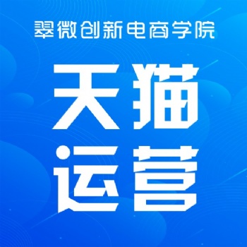 坂田雪象淘寶開店運(yùn)營培訓(xùn)，電商網(wǎng)上開店推廣技巧