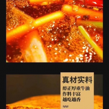 重慶老火鍋底料廠家，一次性重慶老火鍋底料批發板料bl2208-01/500克