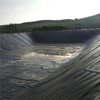 遼寧營(yíng)口鹵水池耐酸堿20防滲膜0.8防滲土工膜