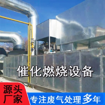 山東貝萊**催化燃燒CO爐vocs有機廢氣處理設(shè)備