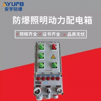 安宇防爆配電箱BXX51-3K6**防爆動(dòng)力修理箱電源箱
