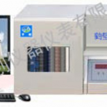 煤炭元素測定儀 KSCQ-2A微機自動測氫儀 中創儀器