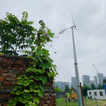 10KW風(fēng)力發(fā)電機變槳距實實在在發(fā)電離網(wǎng)并網(wǎng)風(fēng)機