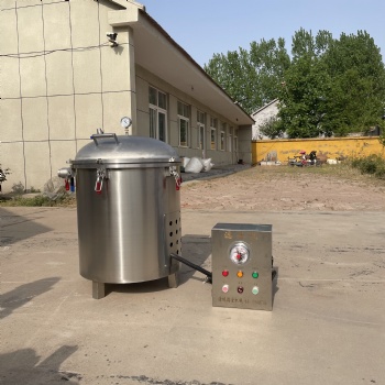 真空濾油機(jī) 商用煎炸油過(guò)濾機(jī) 麻花油過(guò)濾機(jī)