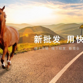 青州管家婆軟件快馬批發軟件