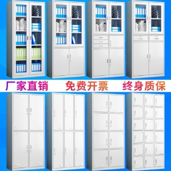 石家莊財(cái)務(wù)憑證柜檔案柜矮柜通玻中二斗文件柜