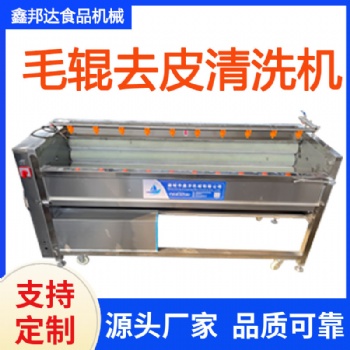土豆去皮毛輥清洗機 胡蘿卜清洗設(shè)備 大姜毛輥清洗機