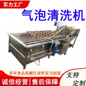 黑水虻自動清洗機 大型商用蟲蛹蠶蛹清洗設(shè)備 各種養(yǎng)殖蟲清洗機