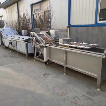 果蔬清洗殺青機(jī)、毛豆漂燙鹵煮殺青機(jī)