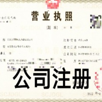 代辦石家莊公司核名、注冊；代理記賬、稅務管理等，企業注冊服務