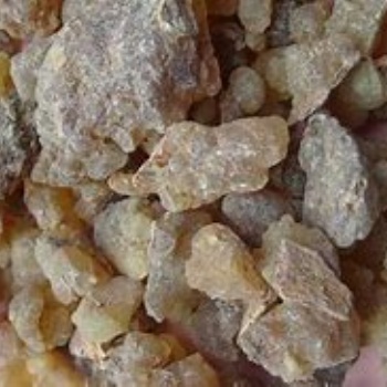 寧波進(jìn)口乳香**操作步驟