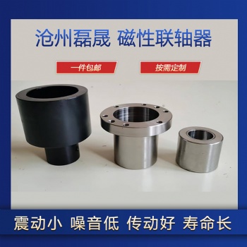 滄州磊晟廠家供應各種型號永磁徑向聯軸器油泵磁性傳動件 可定制
