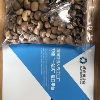 藥用檳榔進(jìn)口報(bào)關(guān)公司