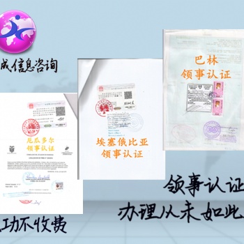 巴基斯坦領(lǐng)事認(rèn)證已婚、派遣信公證